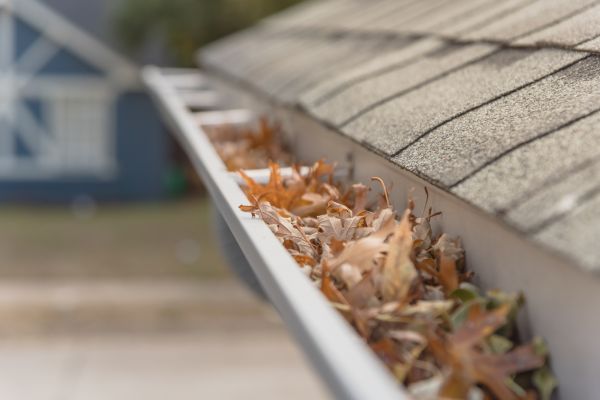 Leaf Barrier Installation in Fort Wayne